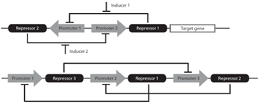 2008CurBioinfo