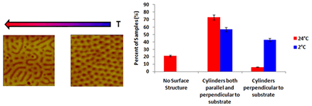 2011Macromolecule