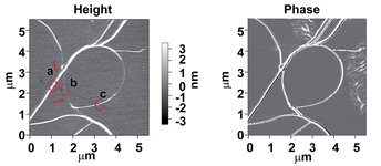 2014SoftMatter